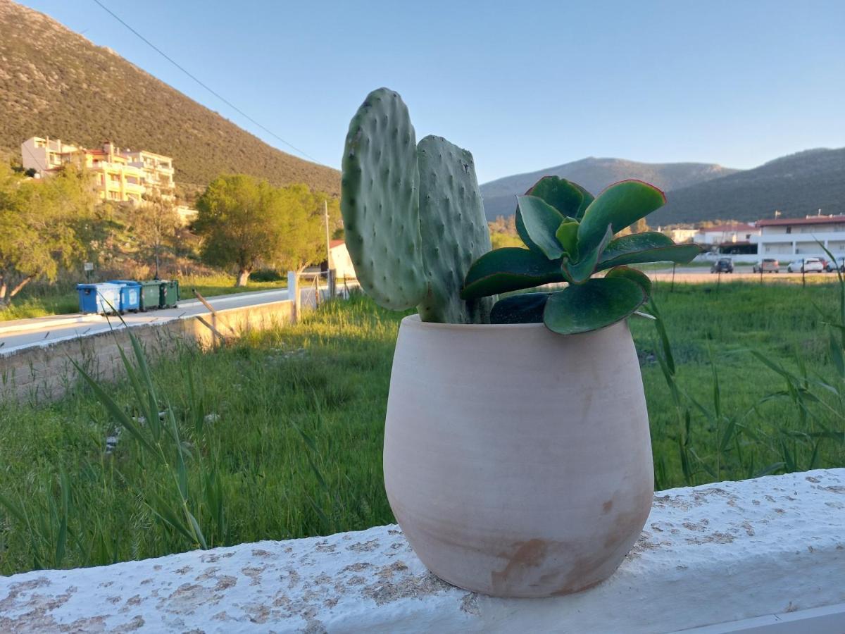 Vitamin Sea Apartment 4, Άνετο Διαμέρισμα. Almiropótamos Exteriör bild